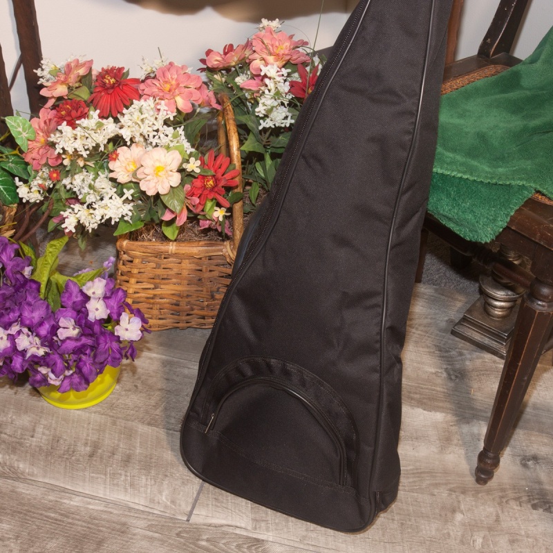 Roosebeck Gig Bag For Baritone Psaltery