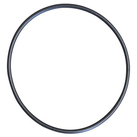 Body O-Ring For Euro 30 Pumps