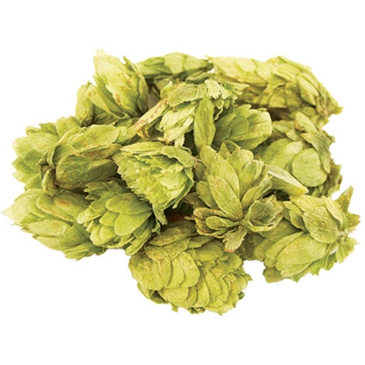 Mosaic® Brand Hbc 369 | Whole Cone Hops