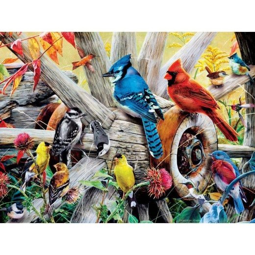 Audubon - Backyard Birds 300 Piece Ez Grip Jigsaw Puzzle