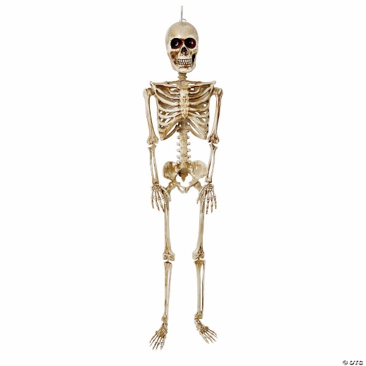 36" Posable Articulated Skeleton Halloween Decoration