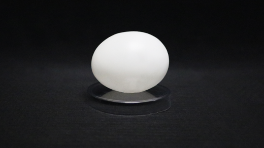 Deluxe Latex (Vinyl) Egg-Tissue To Egg Routine By Viking Magic - Trick