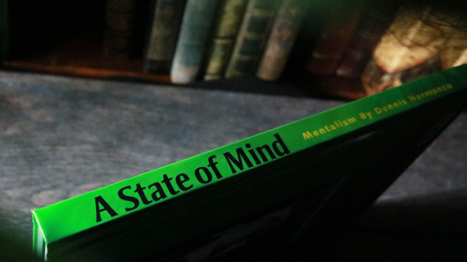 A State Of Mind By Dennis Hermanzo - Book