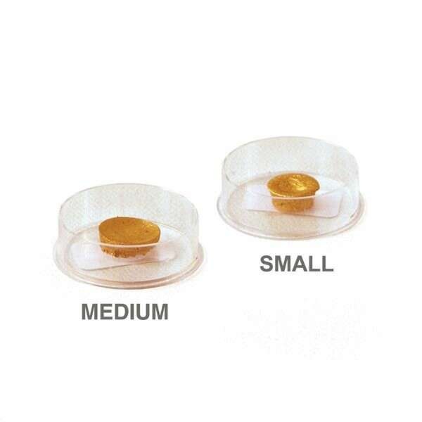  Shell Gold, Size: Small