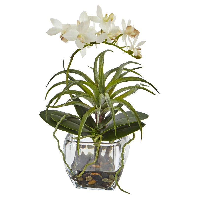 Orchid And Succulent Arrangement