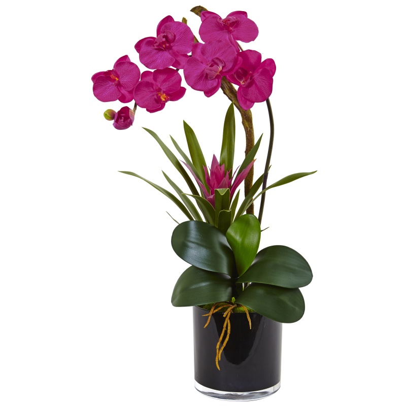 Orchid And Bromeliad In Glossy Black Cylinder