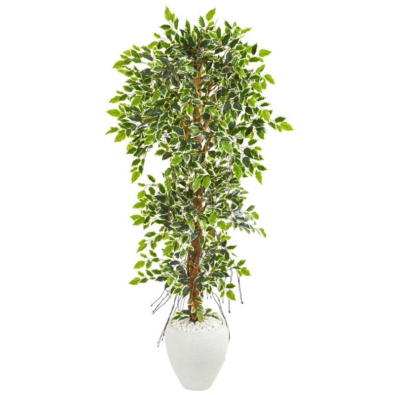 5.5’ Elegant Ficus Artificial Tree In White Planter