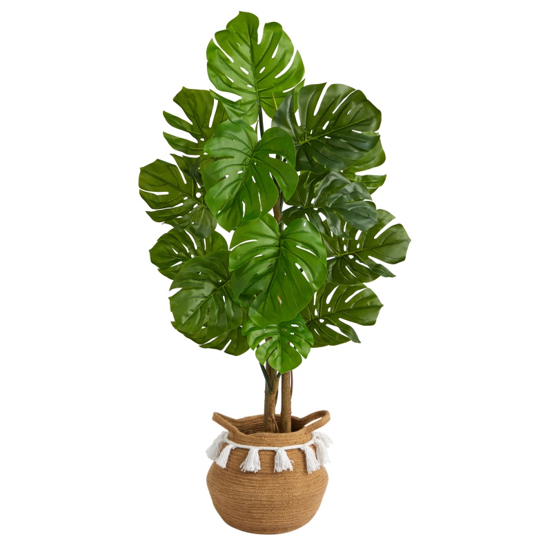 4' Monstera Tree in Boho Chic Planter