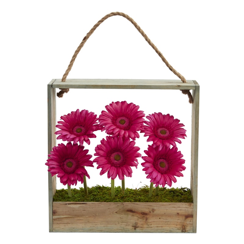 Gerber Daisy Garden In Hanging Frame