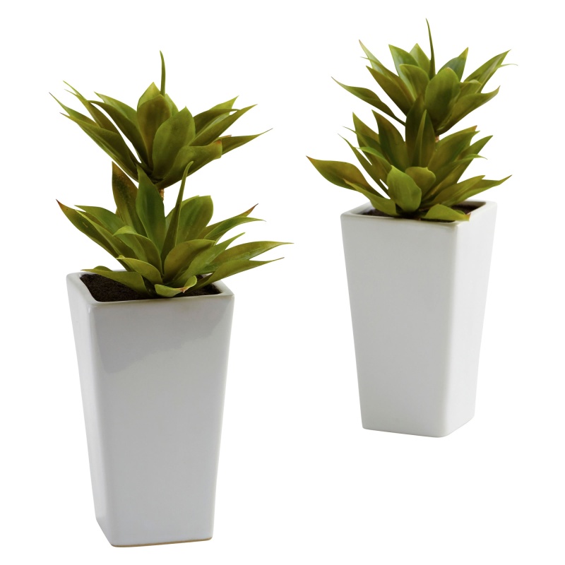 Double Mini Agave W/Planter (Set Of 2)