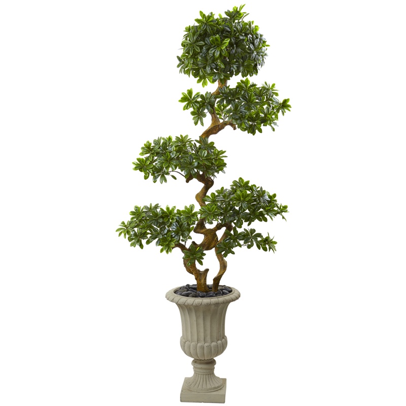 6’ Pittosporum Artificial Tree In Urn Uv Resistant (Indoor/Outdoor)