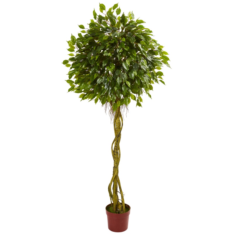 6' Ficus Artificial Topiary Tree Uv Resistant (Indoor/Outdoor)
