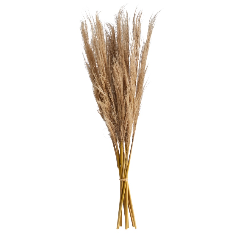 40” Dried Natural Pampass Grass Bundle (Set Of 2)