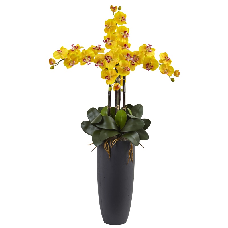 Phalaenopsis Orchid Arrangement With Bullet Planter