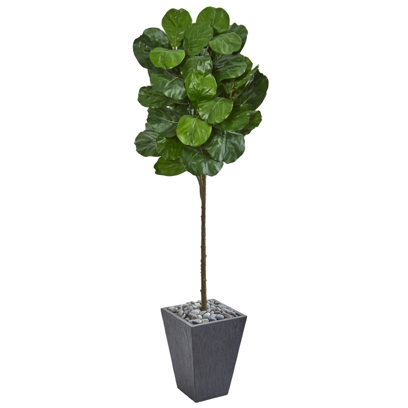 6’ Fiddle Leaf Artificial Tree In Slate Finished Planter