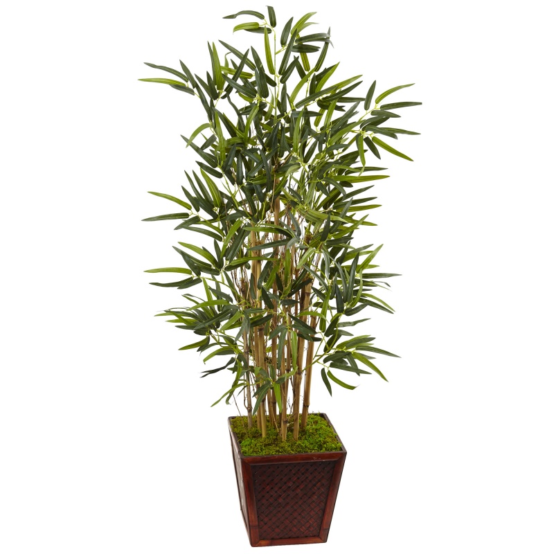 4’ Bamboo Tree In Bamboo Square