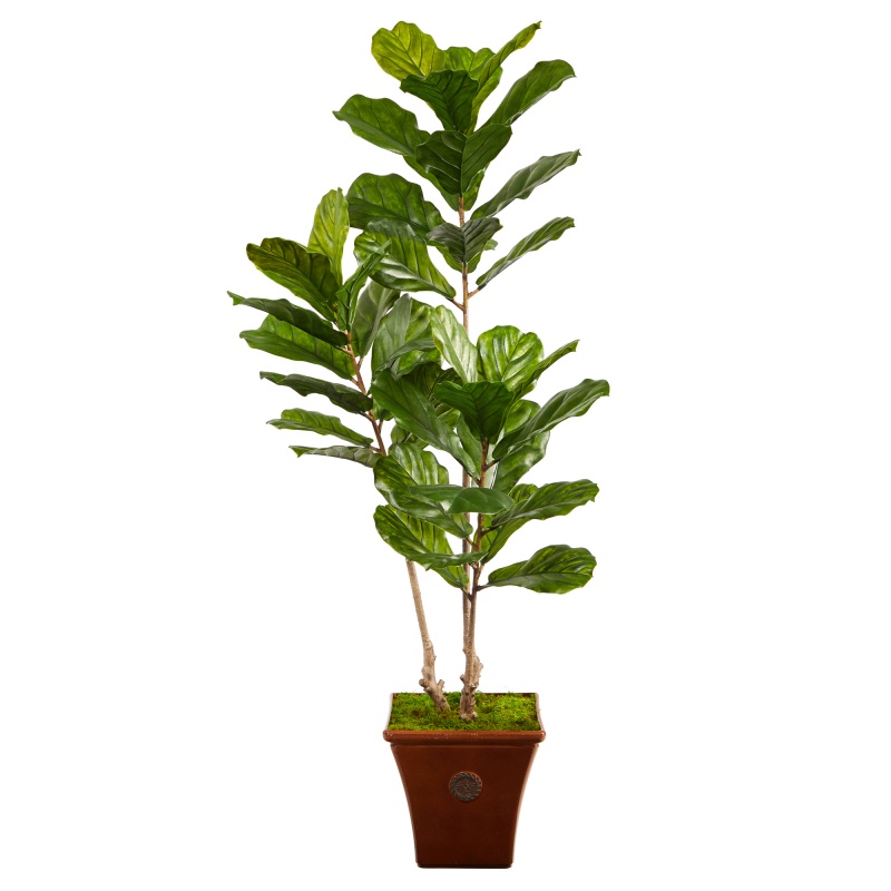 5.5’ Fiddle Leaf Artificial Tree in Brown Planter