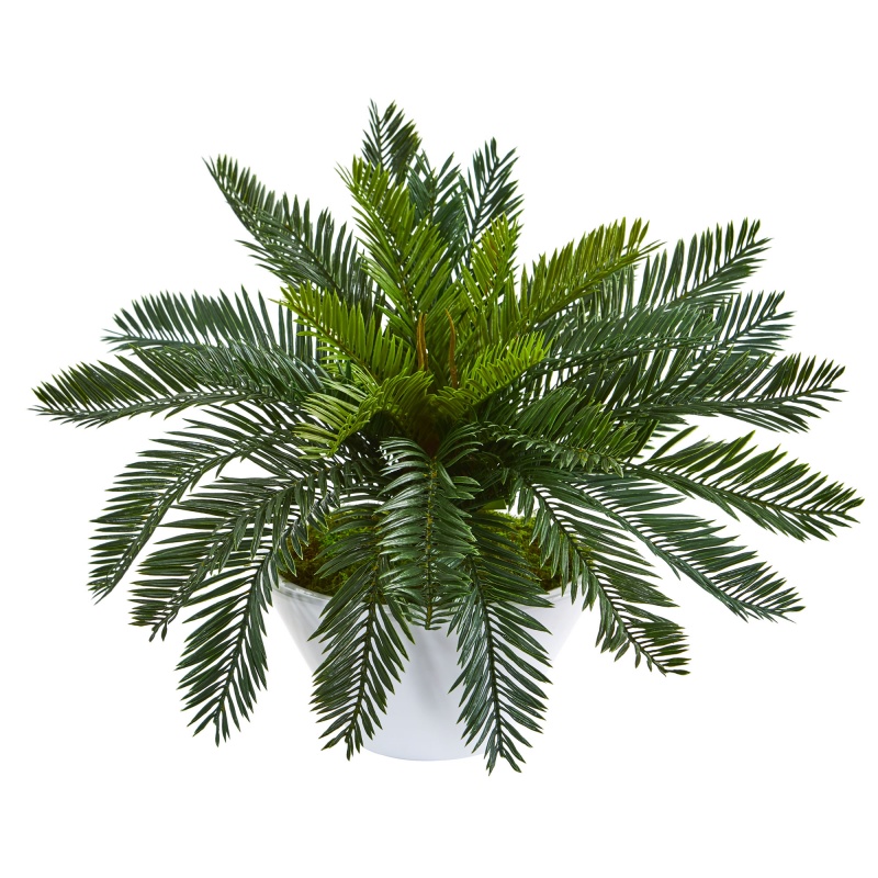 Cycas Artificial Plant In Ceramic White Planter