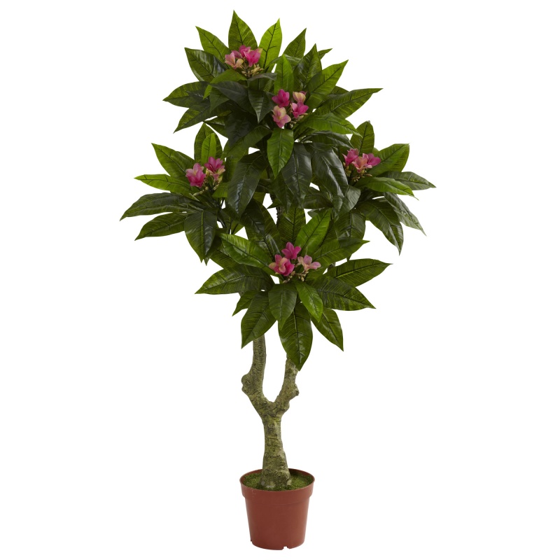 5' Plumeria Tree Uv Resistant (Indoor/Outdoor)