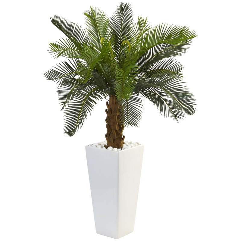 3’ Cycas Tree In White Tower Planter