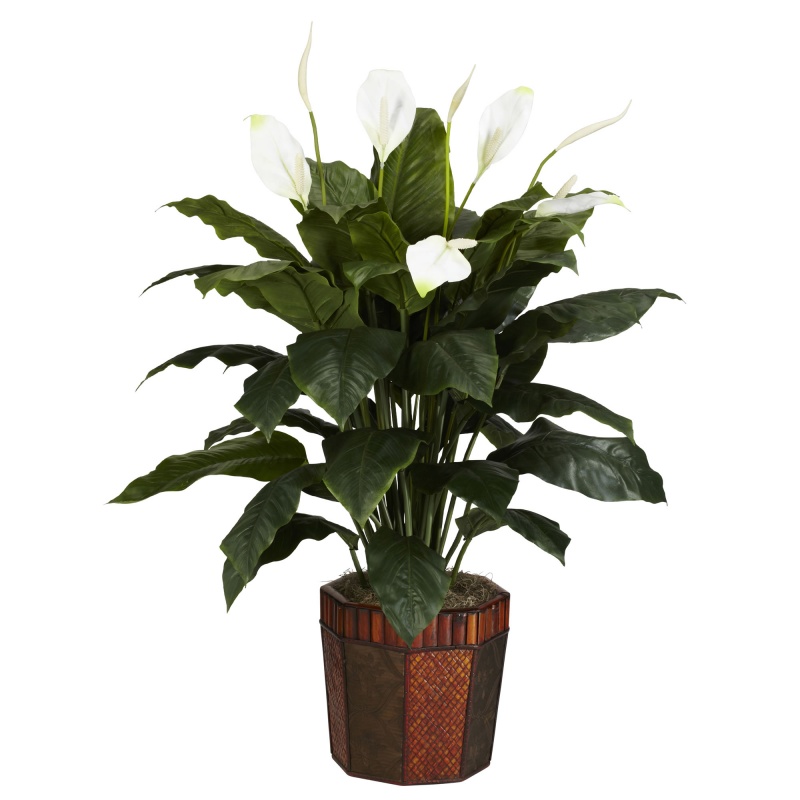 Spathyfillum W/Vase Silk Plant