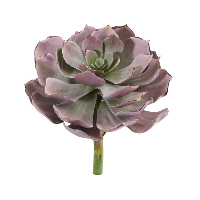 Burgundy Artificial Echeveria Succulent Set of 6