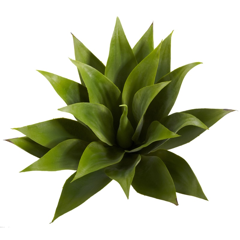 17” Agave Succulent Plant (Set Of 2)