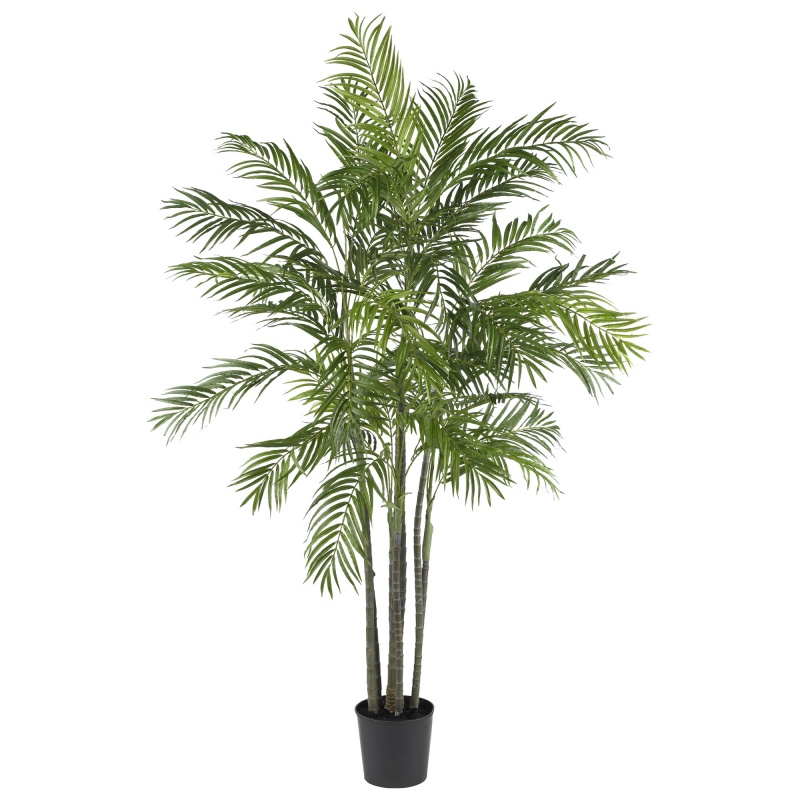 6' Areca Palm Silk Tree
