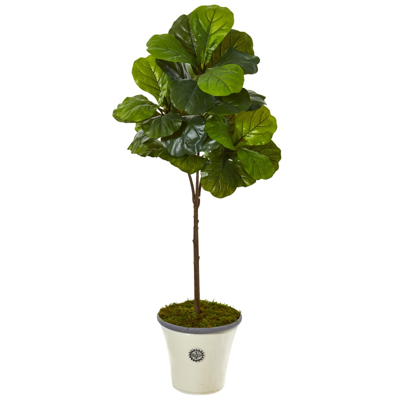 61” Fiddle Leaf Artificial Tree In Planter (Real Touch)