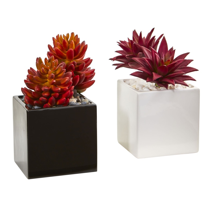 Agave And Spiky Succulent Artificial Plant In Vase (Set Of 2)