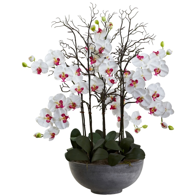 Phalaenopsis Orchid With White Planter