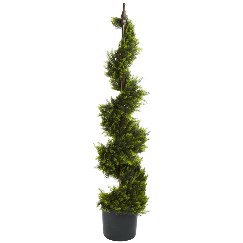 4' Cypress Spiral Silk Tree