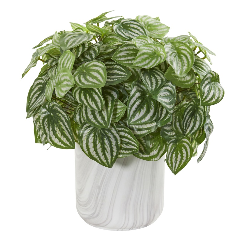 Peperomia Artificial Plant In Marble Finished Vase (Real Touch)