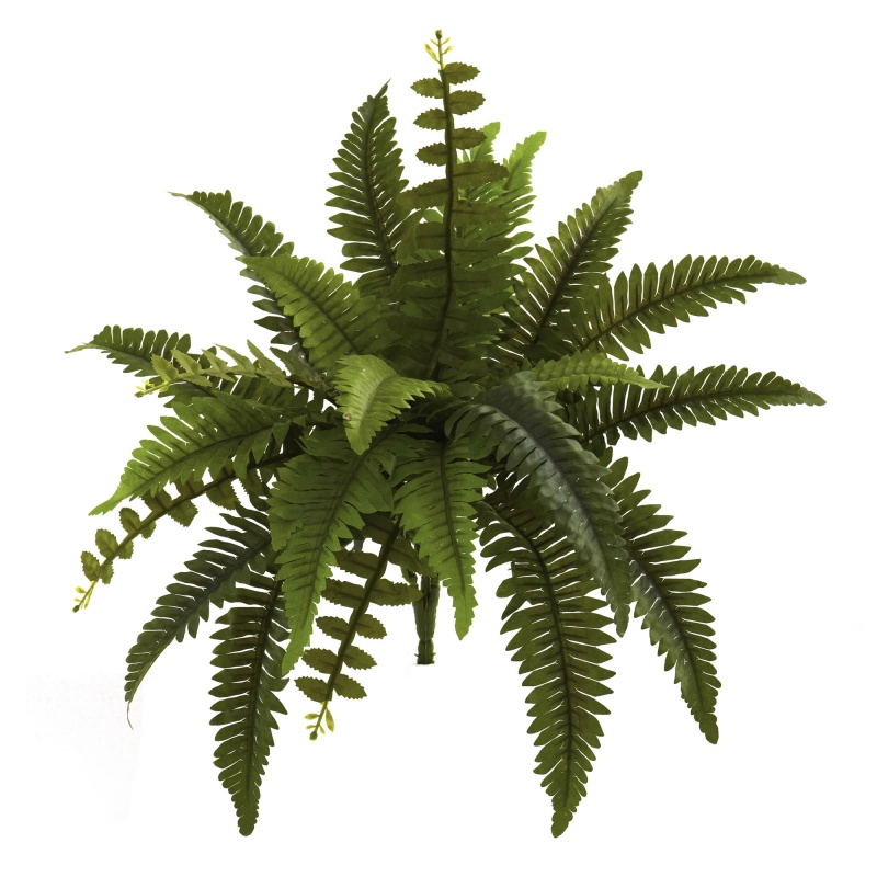14” Boston Fern Artificial Plant (Set Of 6)