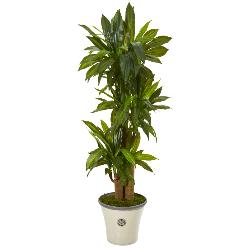 56” Corn Stalk Dracaena Artificial Plant In Planter (Real Touch)