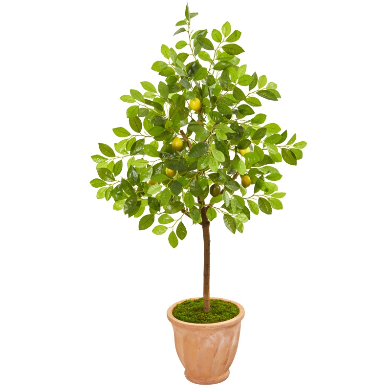 55” Lemon Artificial Tree In Terra Cotta Planter