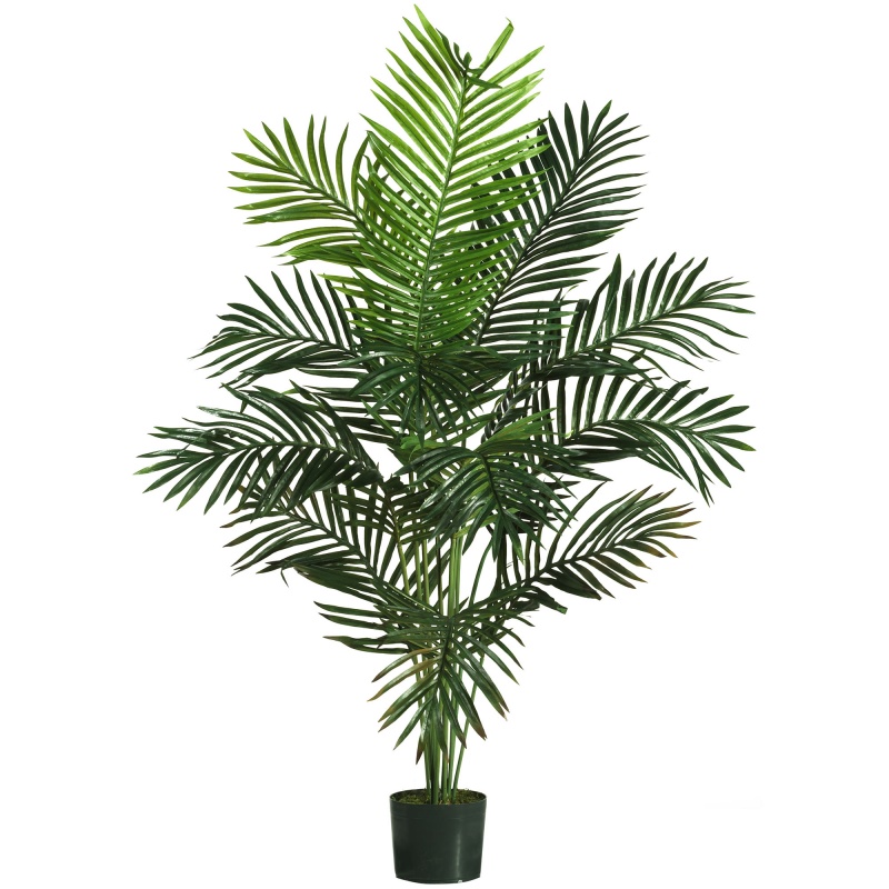 5' Paradise Palm