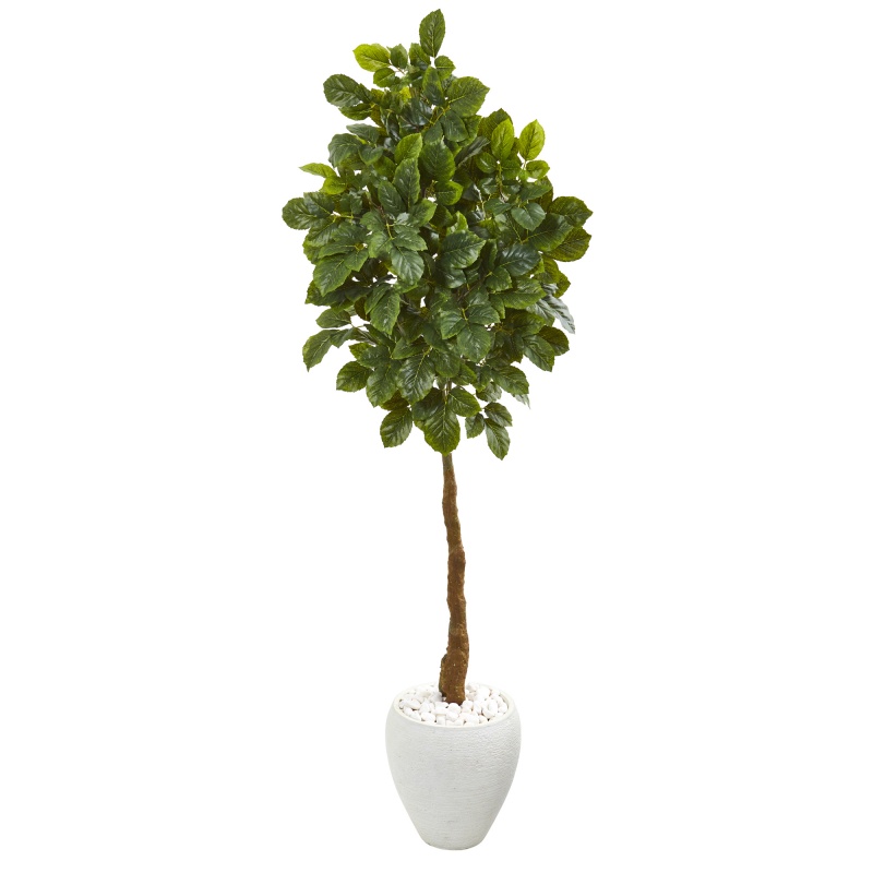 69” Beech Leaf Artificial Tree In White Planter