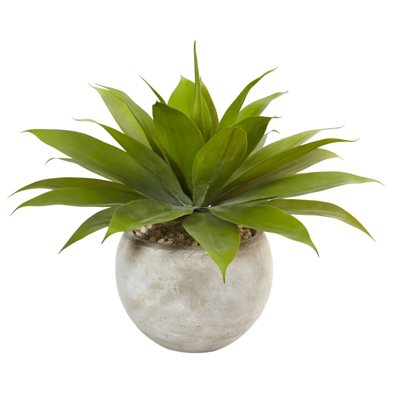 Agave In Sand Colored Bowl