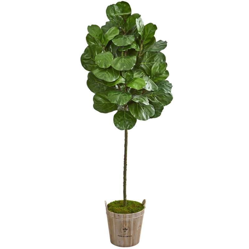 6.5’ Fiddle Leaf Artificial Tree In Farmhouse Planter