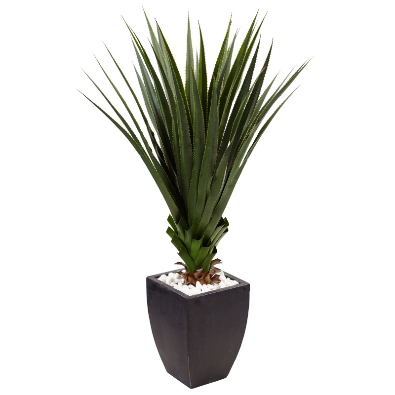 4.5’ Spiked Agave In Black Planter
