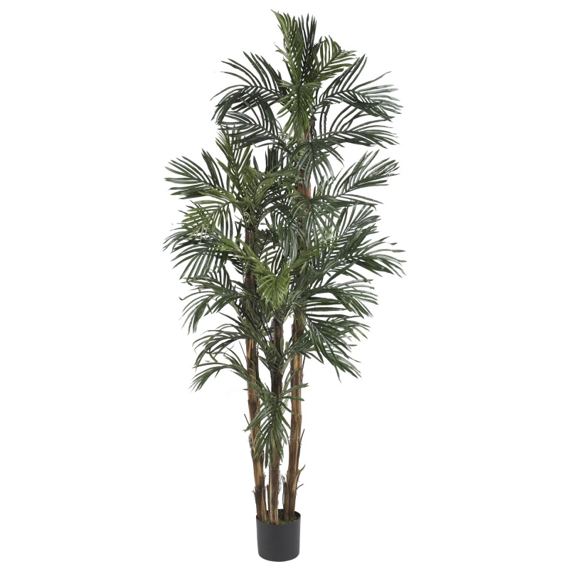 6' Robellini Palm Silk Tree