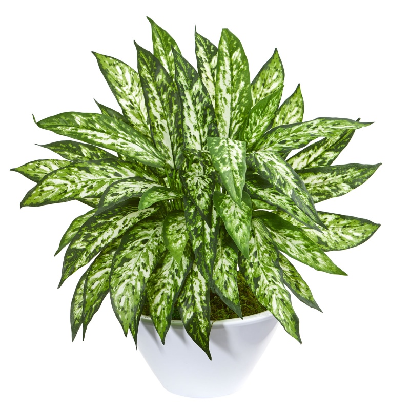 21” Aglonema Artificial Plant in White Vase