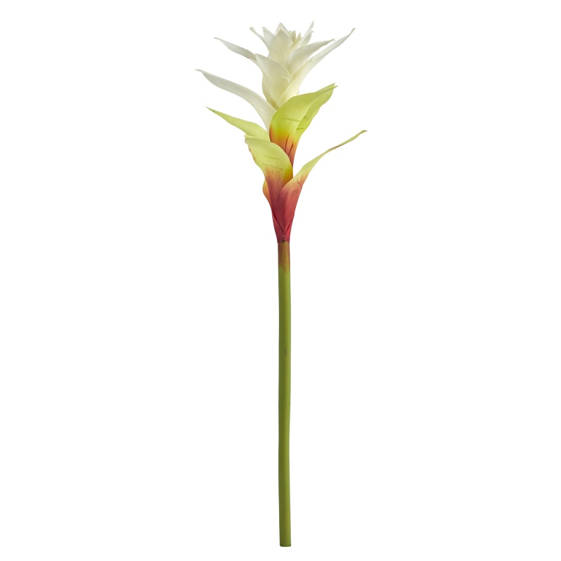 Product thumbnail 11