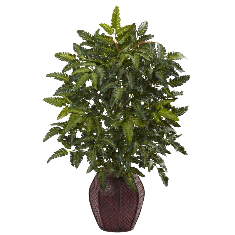 Bracken Fern With Decorative Planter