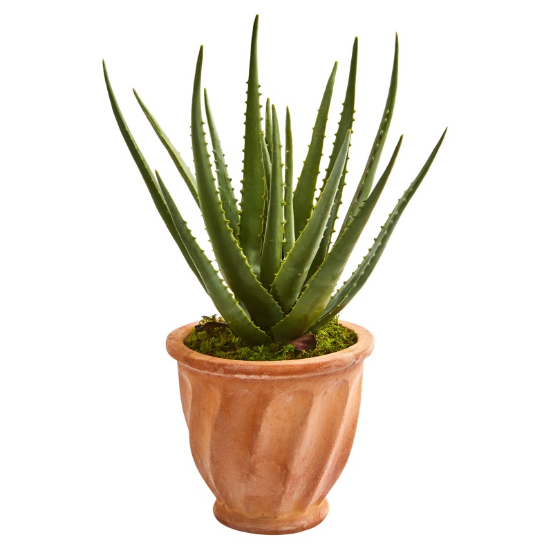 Aloe Artificial Plant In Terra Cotta Planter