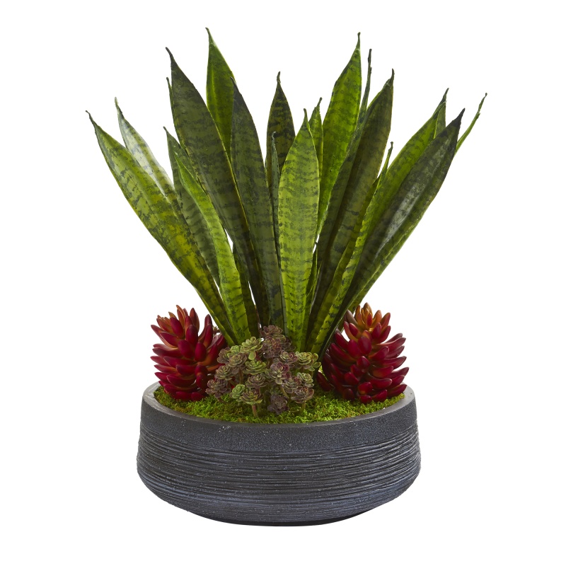 20” Succulent And Sansevieria Artificial Plant In Decorative Bowl