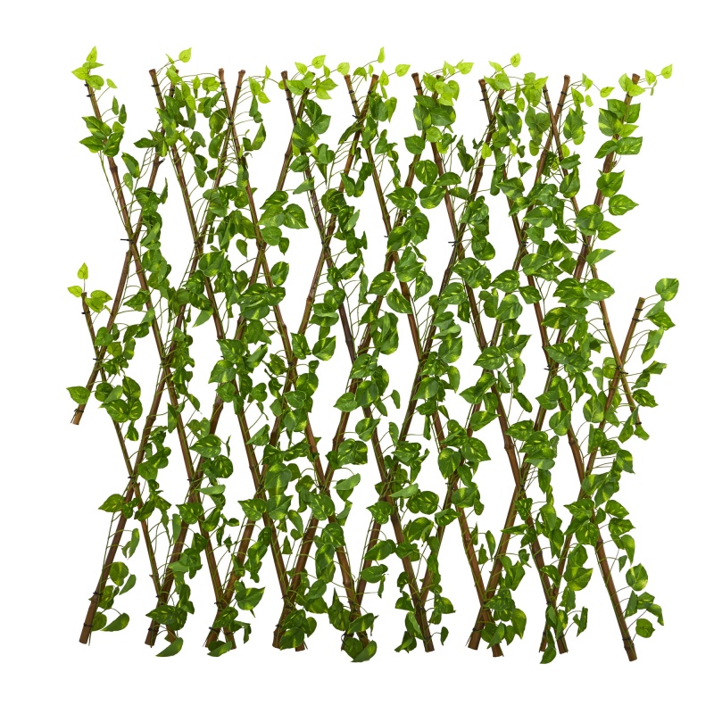 47” Pothos Expandable Fence