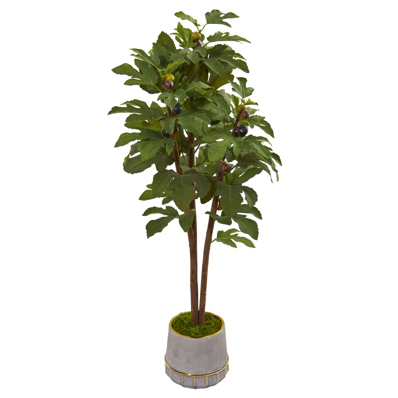 47” Fig Artificial Tree In Stoneware Vase With Gold Trimming