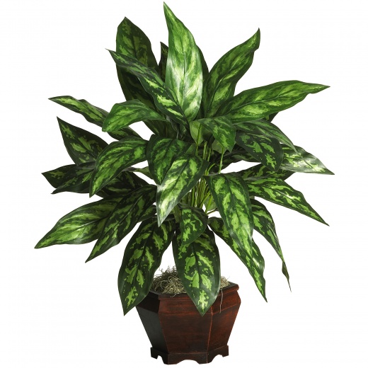 Silver King W/Wood Vase Silk Plant